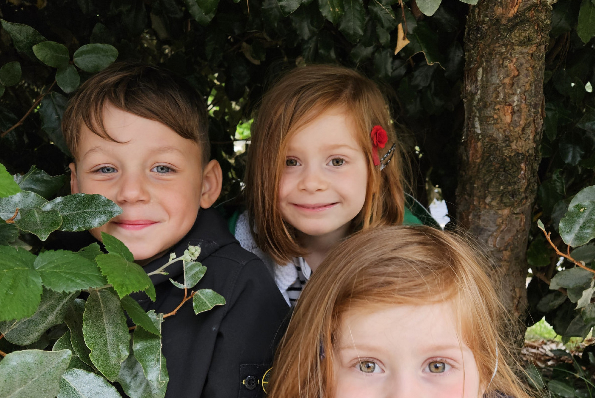 Afbeelding 1 in carrousel van koppies