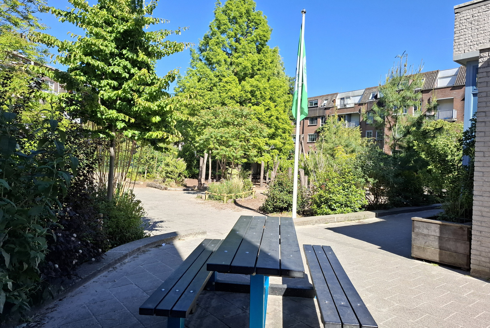 header afbeelding Eco-Schools